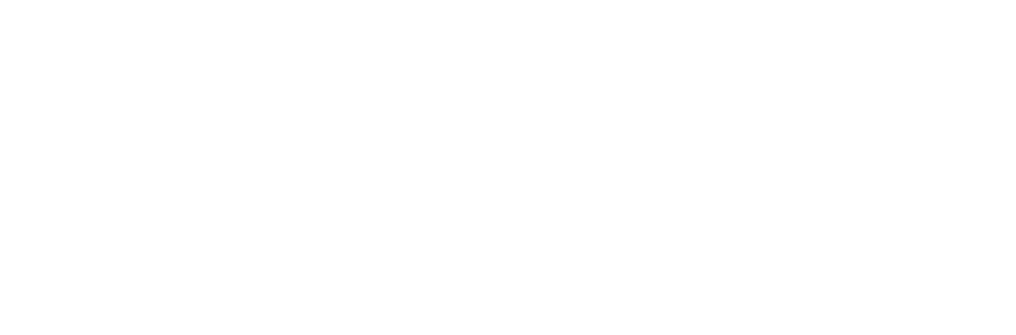 LearningFlix